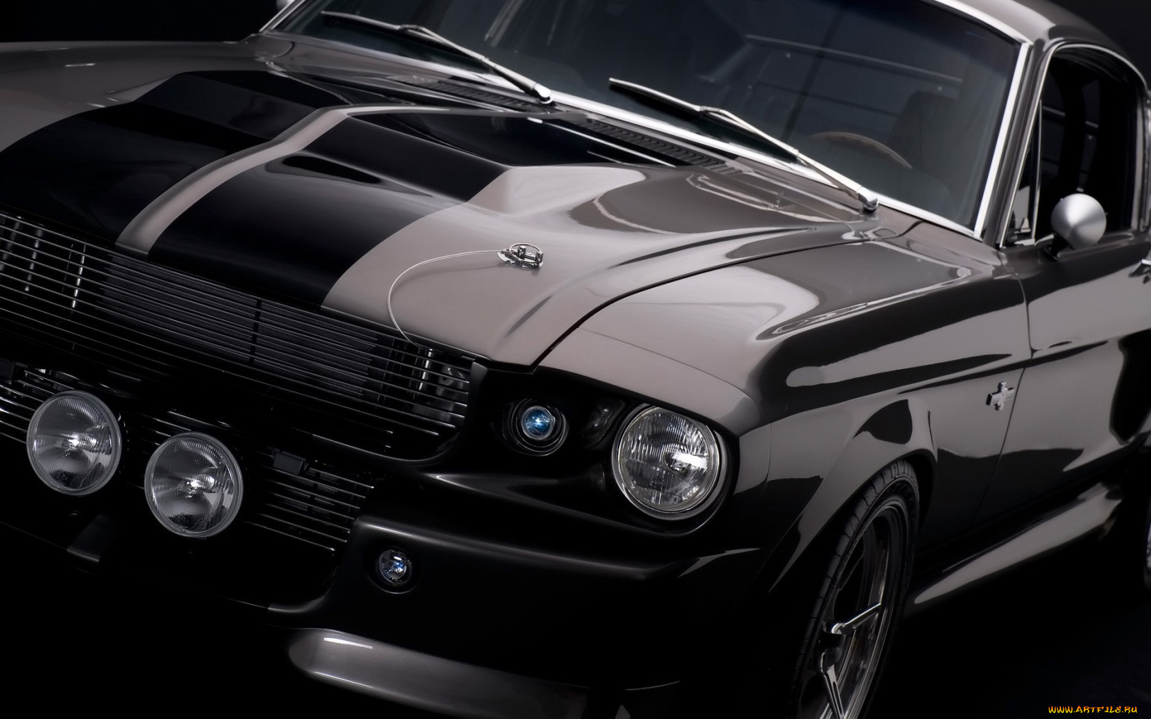mustang, shelby, , , 